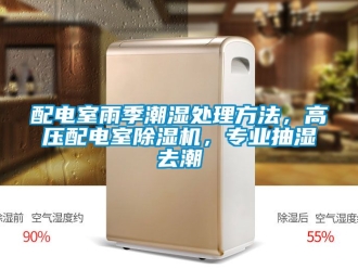 行業新聞配電室雨季潮濕處理方法，高壓配電室除濕機，專業抽濕去潮
