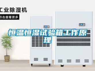 知識百科恒溫恒濕試驗箱工作原理