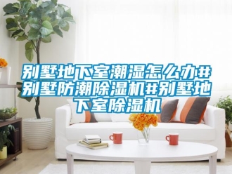 企業(yè)新聞別墅地下室潮濕怎么辦#別墅防潮除濕機#別墅地下室除濕機