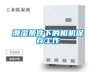 企業新聞潮濕條件下的相機保存工作