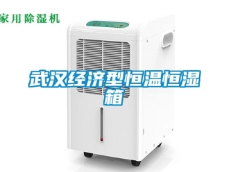 知識百科武漢經(jīng)濟型恒溫恒濕箱