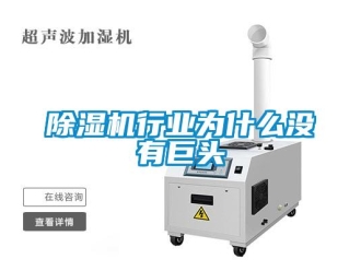 企業新聞除濕機行業為什么沒有巨頭