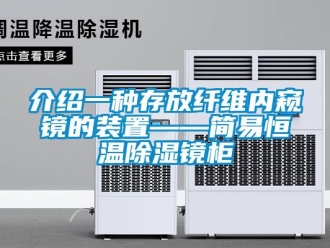 知識百科介紹一種存放纖維內(nèi)窺鏡的裝置——簡易恒溫除濕鏡柜