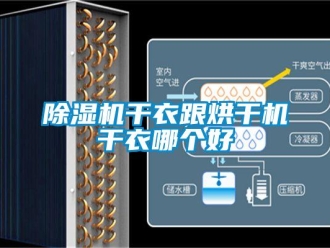 企業(yè)新聞除濕機(jī)干衣跟烘干機(jī)干衣哪個(gè)好