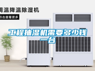 企業(yè)新聞工程抽濕機需要多少錢一臺