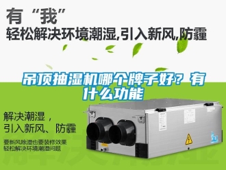 企業(yè)新聞吊頂抽濕機(jī)哪個(gè)牌子好？有什么功能