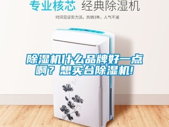 企業(yè)新聞除濕機什么品牌好一點啊？想買臺除濕機!