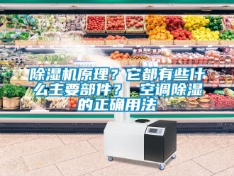 行業新聞除濕機原理？它都有些什么主要部件？ 空調除濕的正確用法