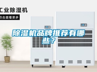 企業新聞除濕機品牌推薦有哪些？