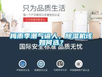常見問題梅雨季潮氣逼人，除濕機該如何選？