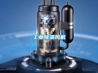 企業(yè)新聞工業(yè)除濕風(fēng)機(jī)