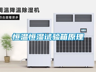 知識百科恒溫恒濕試驗箱原理