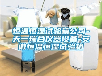 知識百科恒溫恒濕試驗箱公司-天一瑞合儀器設(shè)備-安徽恒溫恒濕試驗箱
