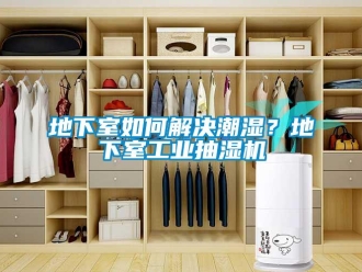 企業(yè)新聞地下室如何解決潮濕？地下室工業(yè)抽濕機(jī)