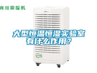 知識百科大型恒溫恒濕實驗室有什么作用？
