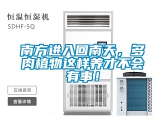 行業(yè)新聞南方進入回南天，多肉植物這樣養(yǎng)才不會有事！