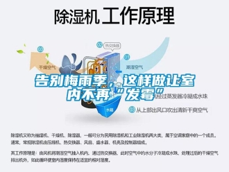 企業新聞告別梅雨季，這樣做讓室內不再“發霉”