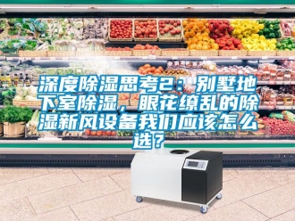 企業新聞深度除濕思考2：別墅地下室除濕，眼花繚亂的除濕新風設備我們應該怎么選？