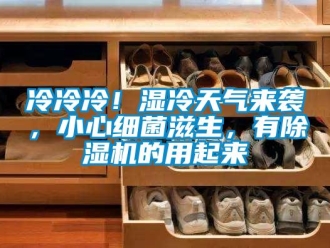 行業(yè)新聞冷冷冷！濕冷天氣來襲，小心細菌滋生，有除濕機的用起來