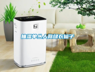 企業新聞抽濕單叢人稱綠衣仙子