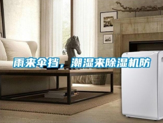 知識百科雨來傘擋，潮濕來除濕機(jī)防