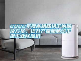 常見問題2022年提高臘腸烘干的解決方案，提升產(chǎn)量臘腸烘干型工業(yè)除濕機(jī)