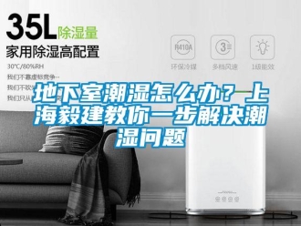 企業新聞地下室潮濕怎么辦？上海毅建教你一步解決潮濕問題