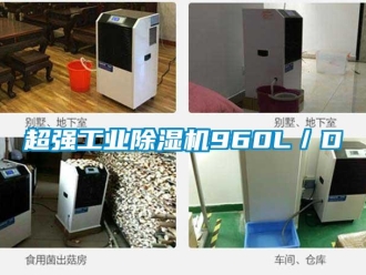 企業(yè)新聞超強(qiáng)工業(yè)除濕機(jī)960L／D