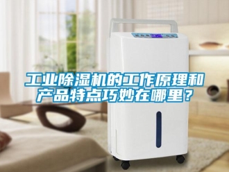 企業(yè)新聞工業(yè)除濕機的工作原理和產品特點巧妙在哪里？