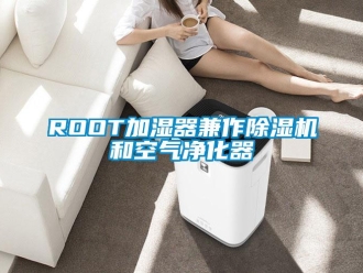 企業(yè)新聞ROOT加濕器兼作除濕機(jī)和空氣凈化器