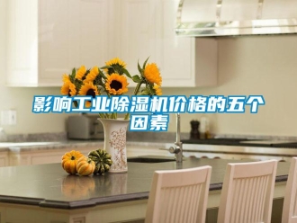 知識百科影響工業(yè)除濕機(jī)價格的五個因素