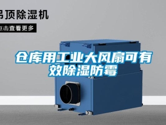 企業(yè)新聞倉庫用工業(yè)大風(fēng)扇可有效除濕防霉