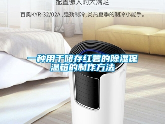 企業新聞一種用于儲存紅薯的除濕保溫箱的制作方法