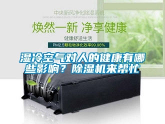 知識百科濕冷空氣對人的健康有哪些影響？除濕機來幫忙