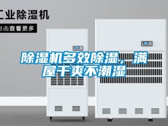 企業(yè)新聞除濕機多效除濕，滿屋干爽不潮濕