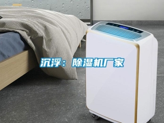 企業新聞沉浮：除濕機廠家