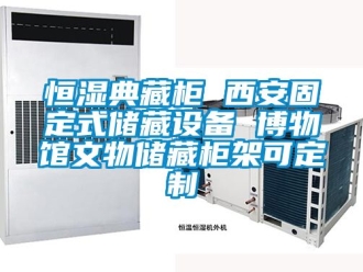 知識百科恒濕典藏柜 西安固定式儲藏設(shè)備 博物館文物儲藏柜架可定制