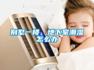 企業(yè)新聞別墅一樓，地下室潮濕怎么辦