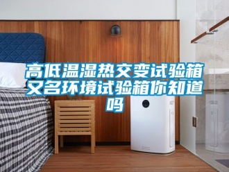 常見問題高低溫濕熱交變試驗(yàn)箱又名環(huán)境試驗(yàn)箱你知道嗎