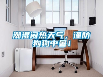 企業(yè)新聞潮濕悶熱天氣，謹防狗狗中暑！