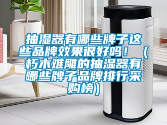 企業(yè)新聞抽濕器有哪些牌子這些品牌效果很好嗎！（朽木難雕的抽濕器有哪些牌子品牌排行采購榜）