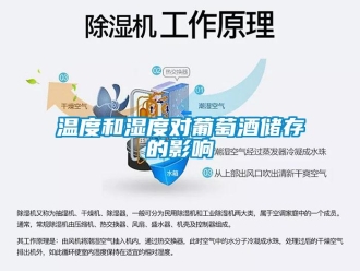 知識百科溫度和濕度對葡萄酒儲存的影響