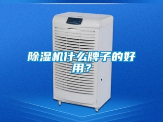 行業(yè)新聞除濕機(jī)什么牌子的好用？