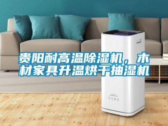 行業新聞貴陽耐高溫除濕機，木材家具升溫烘干抽濕機