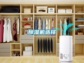 企業新聞除濕機選擇