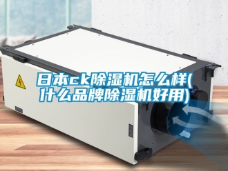 企業(yè)新聞日本ck除濕機怎么樣(什么品牌除濕機好用)