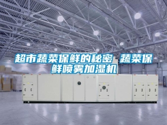 企業新聞超市蔬菜保鮮的秘密 蔬菜保鮮噴霧加濕機