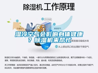 知識(shí)百科濕冷空氣會(huì)影響身體健康？除濕機(jī)來幫忙