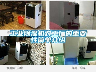 企業(yè)新聞工業(yè)除濕機(jī)對(duì)工廠的重要性簡(jiǎn)單介紹