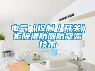 企業(yè)新聞電氣（控制／開(kāi)關(guān)）柜除濕防潮防凝露技術(shù)